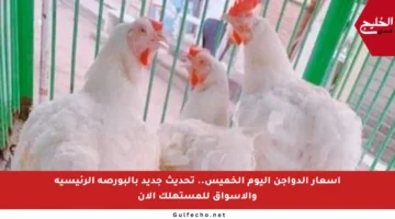 أسعار الدواجن اليوم الخميس.. تحديث جديد بالبورصة الرئيسية والأسواق للمستهلك الآن